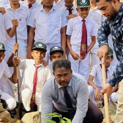 353677091 264108206199342 4100953185857277074 N Y Thumb