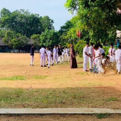 353826506 264108209532675 5542777759394700685 N Thumb